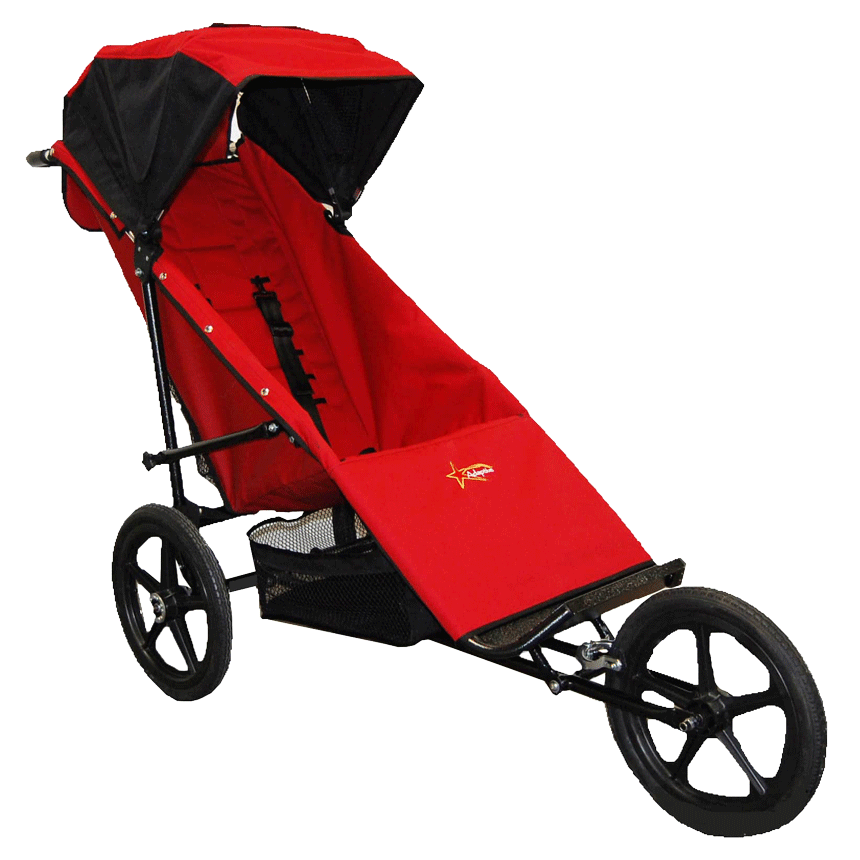 Axiom Phoenix Push Chair